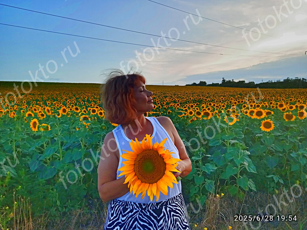 Красота - Интрига Секретная