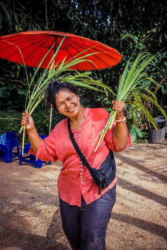 Хозяйка слонихи Пуки. - Максим 