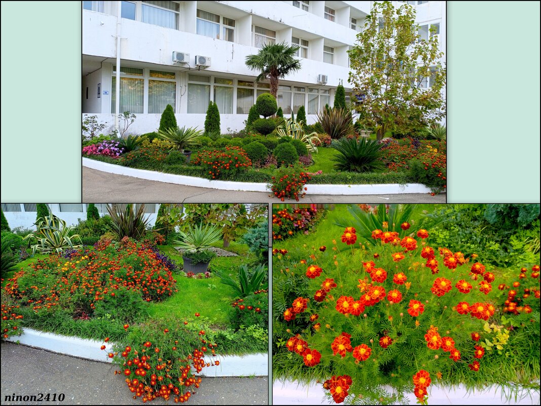 Адлер... ноябрь... - Нина Бутко