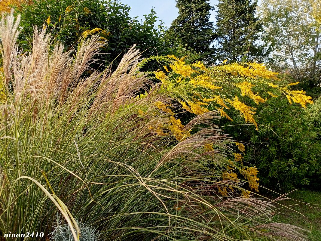 Адлер... ноябрь... - Нина Бутко