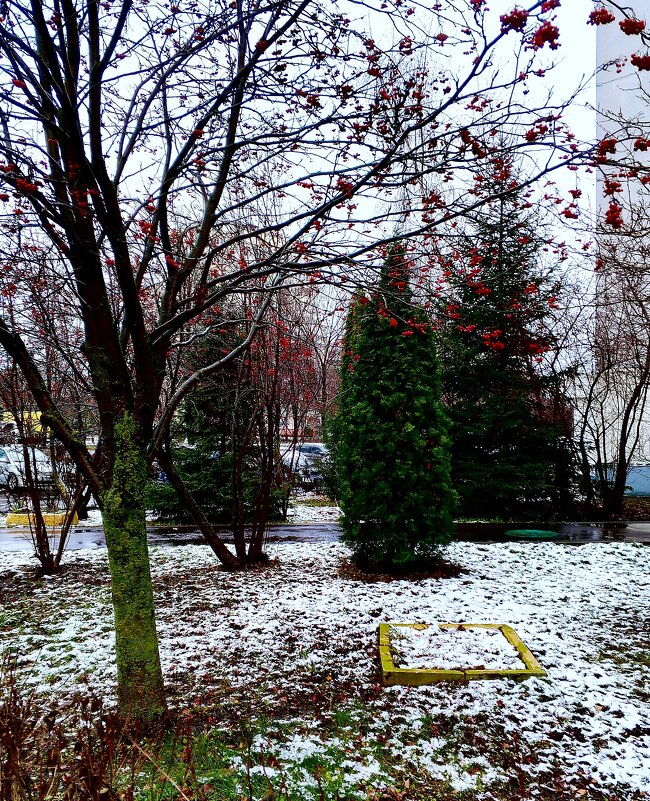 Осень/Зима - Василий Палий