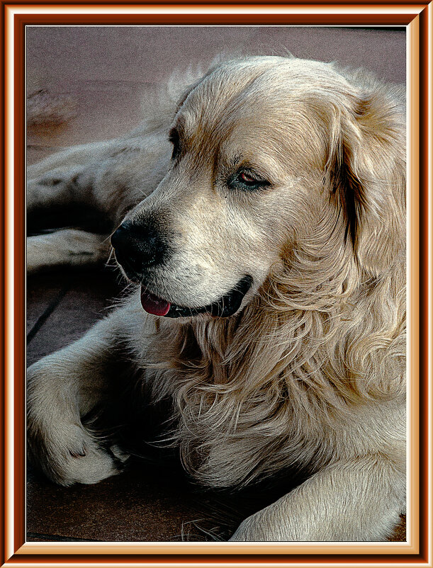 БИЛЛИ - Владимир Кроливец