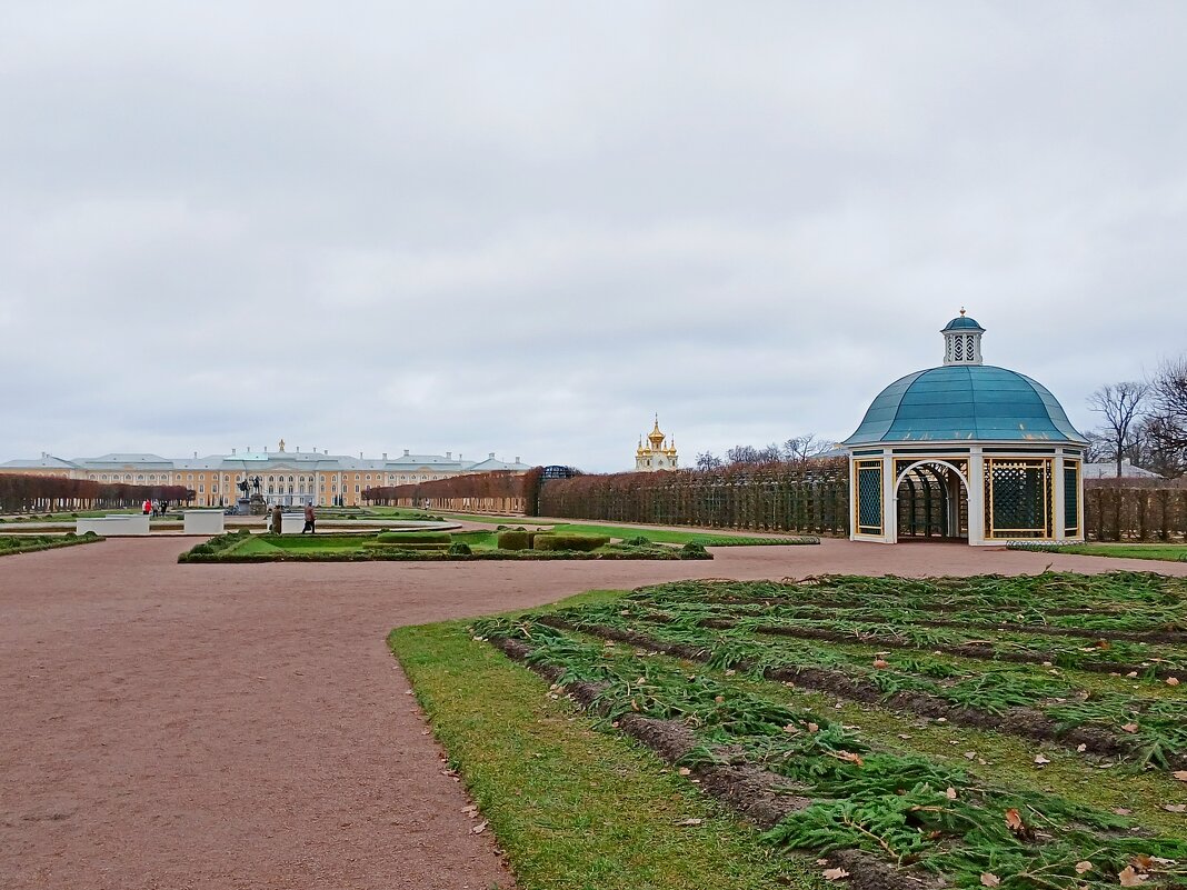 Верхний сад 2 декабря. - Лия ☼