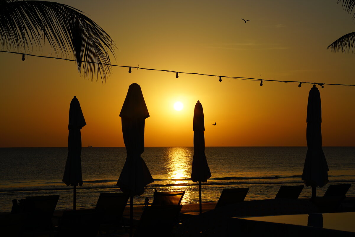 Закат - Иван Литвинов