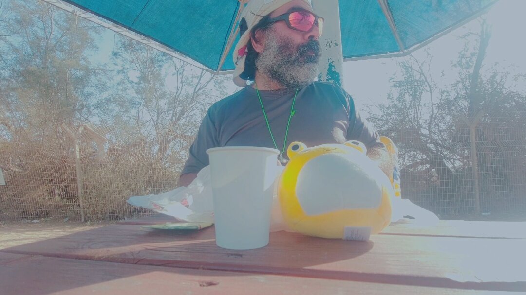 13  ОПЕН (690) - OPEN WAYS ALL