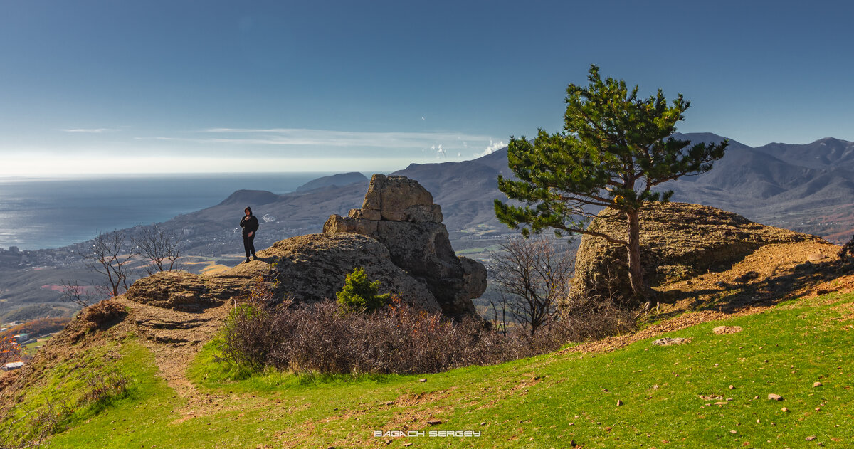 СОЛНЕЧНАЯ ПОЛЯНА - Sergey Bagach