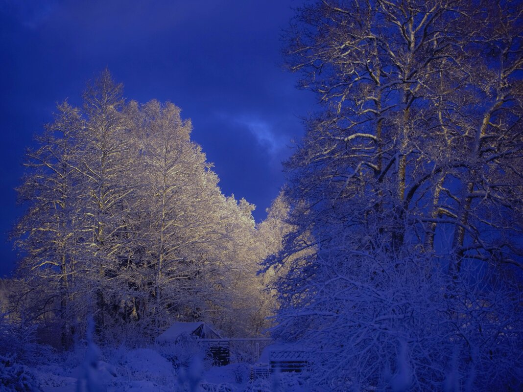 Вечер в Бьёркудден - liudmila drake