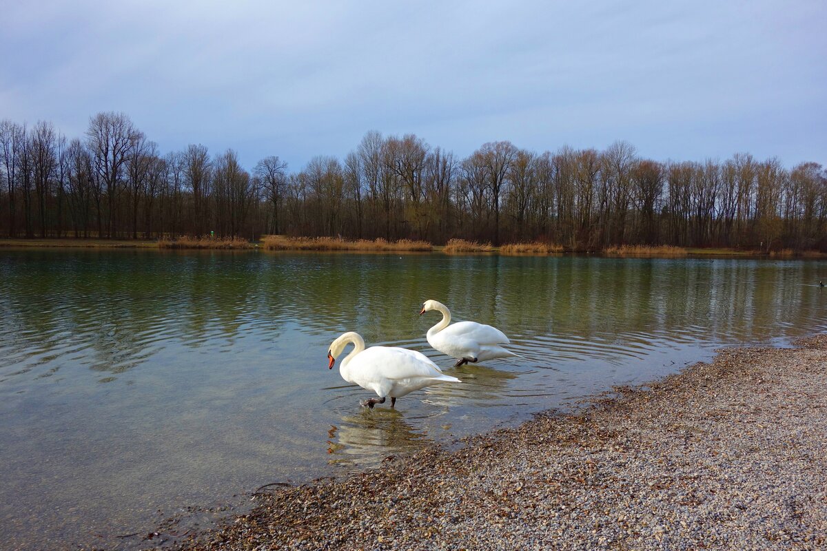 ... - Галина ... - Галина