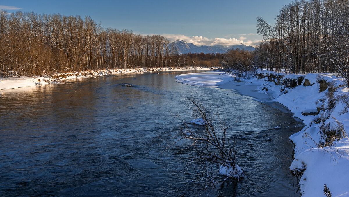 ... - Жора Житников