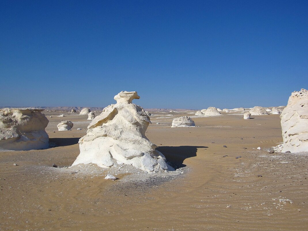 В Белой пустыне. - unix (Илья Утропов)