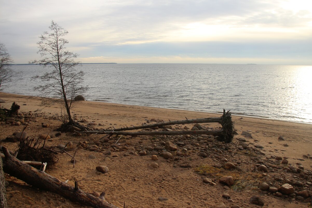 Репино - Наталья Герасимова