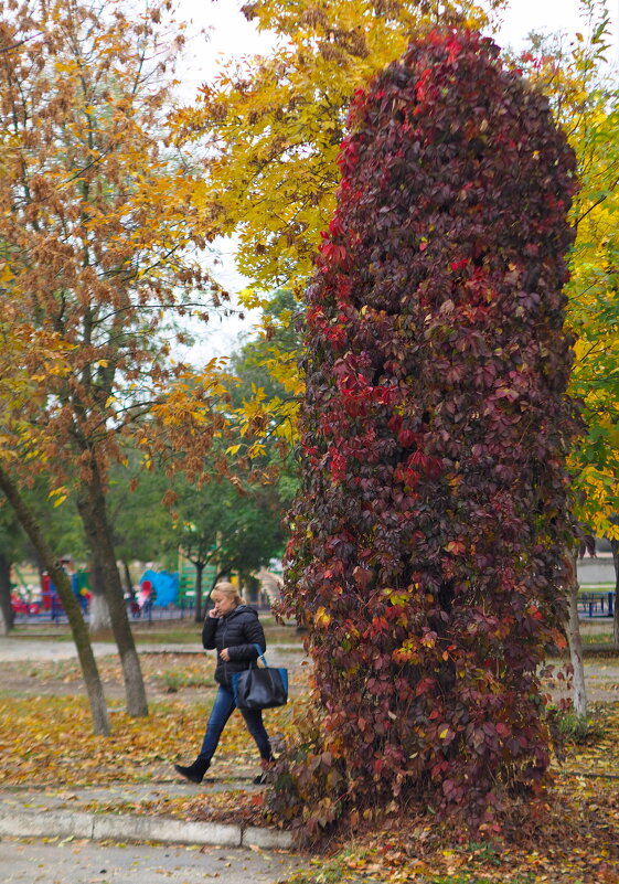 почётный караул ))) - Всеволод 