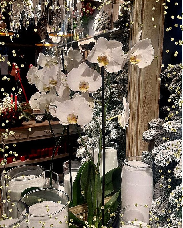 Предновогоднее волшебство! - Нина Андронова