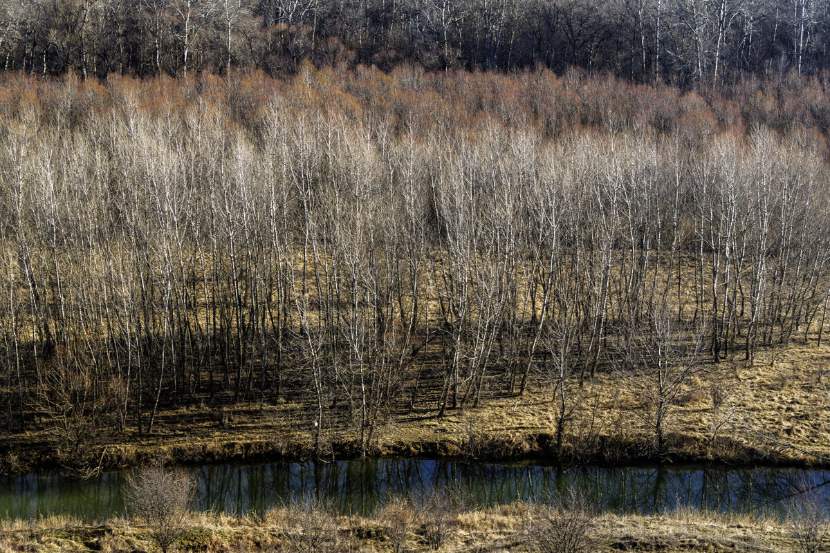 Протока - Игорь Сикорский
