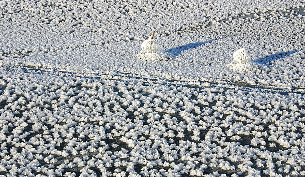 Ноябрь....Дыхание льда на Юганской Оби! - Владимир 