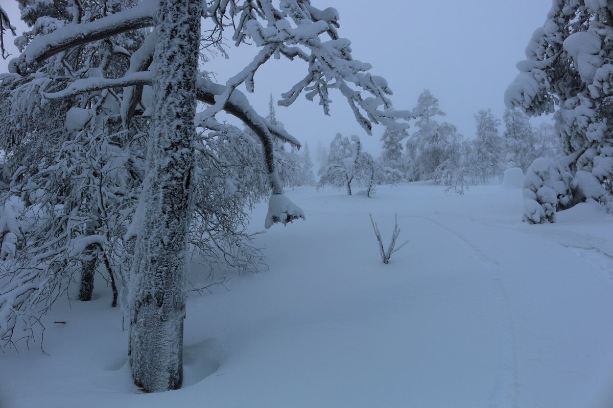 Зима на финском севере - Ольга 