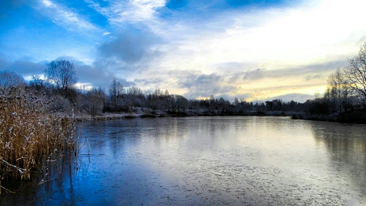 Осень в конце ноября. - Милешкин Владимир Алексеевич Осень в конце ноября. - Милешкин Владимир Алексеевич