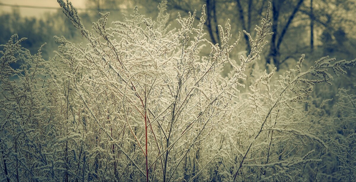 *** - Виктор Иванович Чернюк