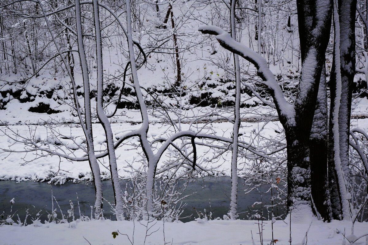Снежный ноябрь - Рита Симонова