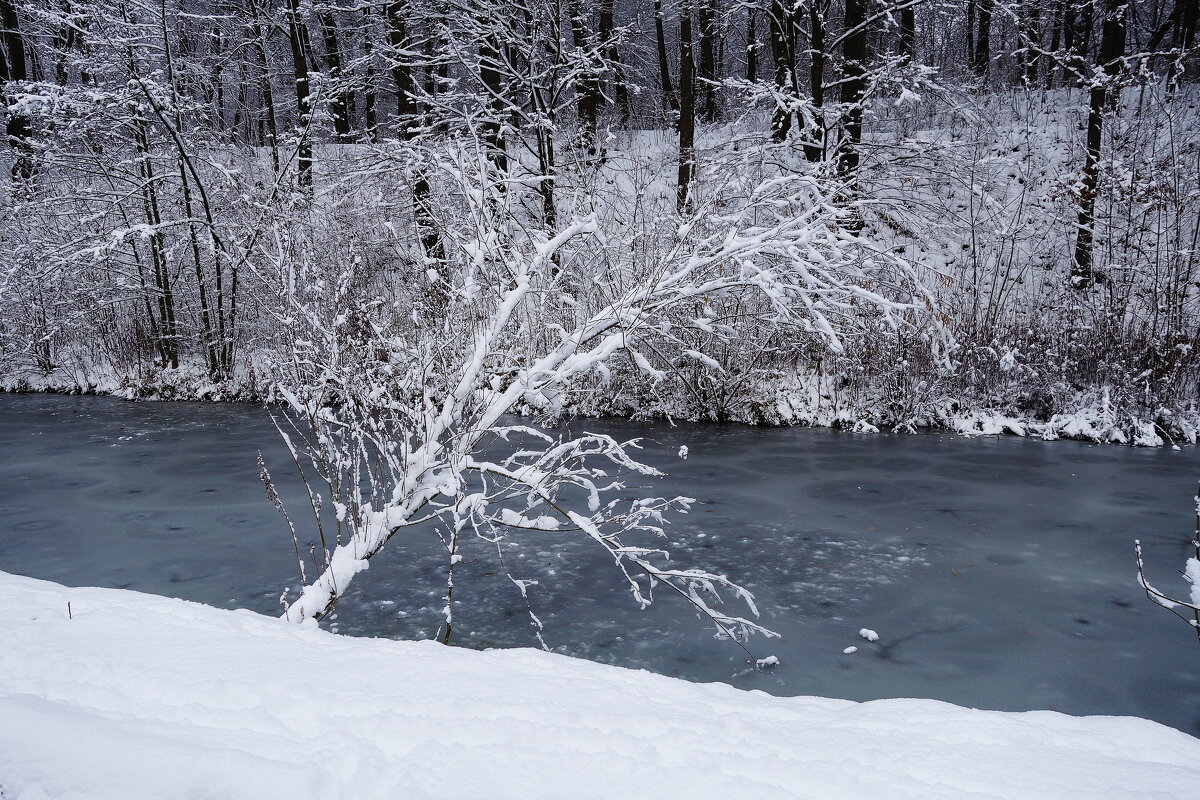 Снежный ноябрь - Рита Симонова Снежный ноябрь - Рита Симонова