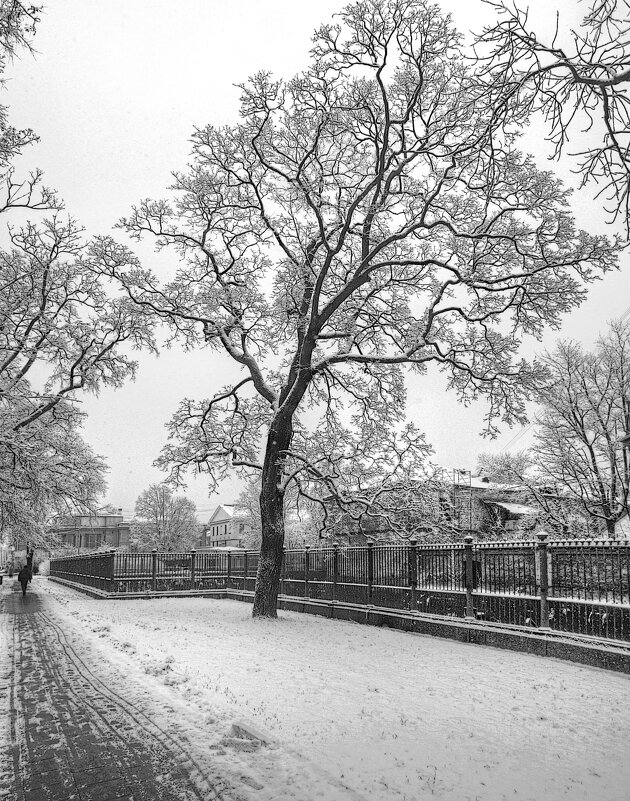 *** - Сергей Григорьев