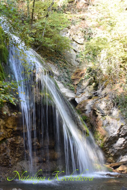 Природа Крыма - Amazing Cosmea Природа Крыма - Amazing Cosmea