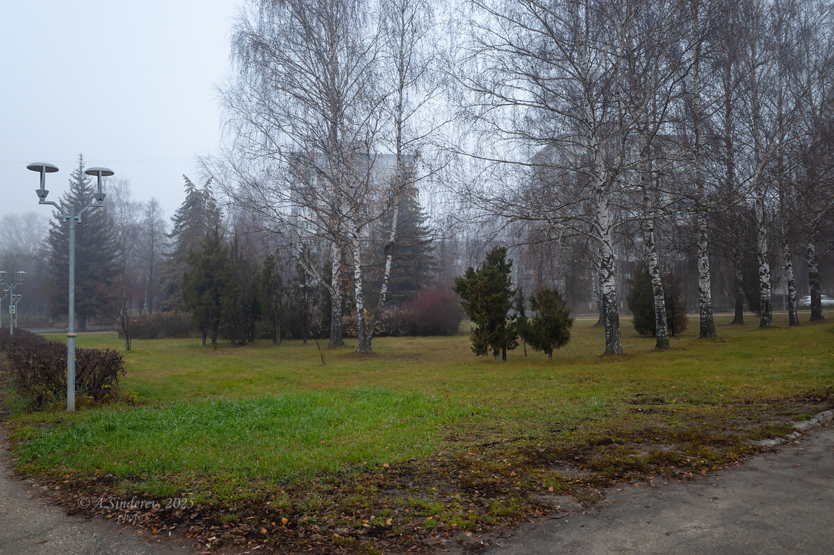 В лёгком тумане - Александр Синдерёв