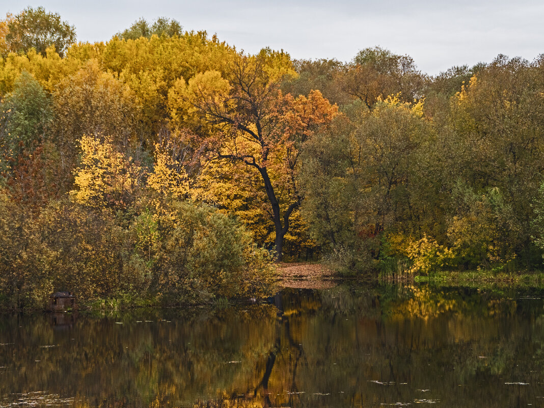 Октябрь - художник - Сергей Фомичев Октябрь - художник - Сергей Фомичев