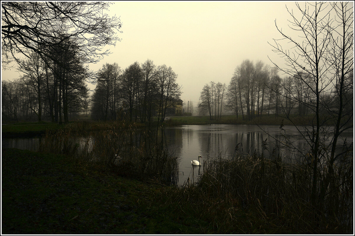 *** - Aleksandr Gal *** - Aleksandr Gal