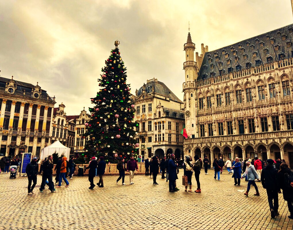 Главная новогодняя ель в Брюсселе - Aida10 