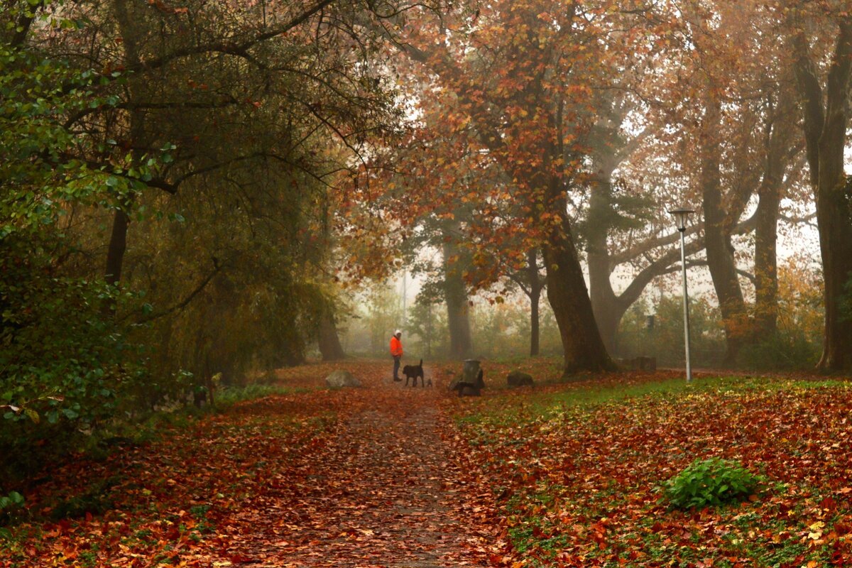Осенние прогулки - Юрий. Шмаков