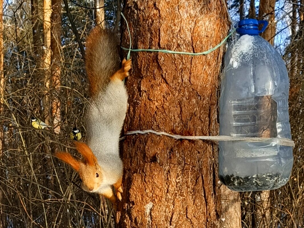 Я пришла ! Есть хочу ! - Мила Бовкун