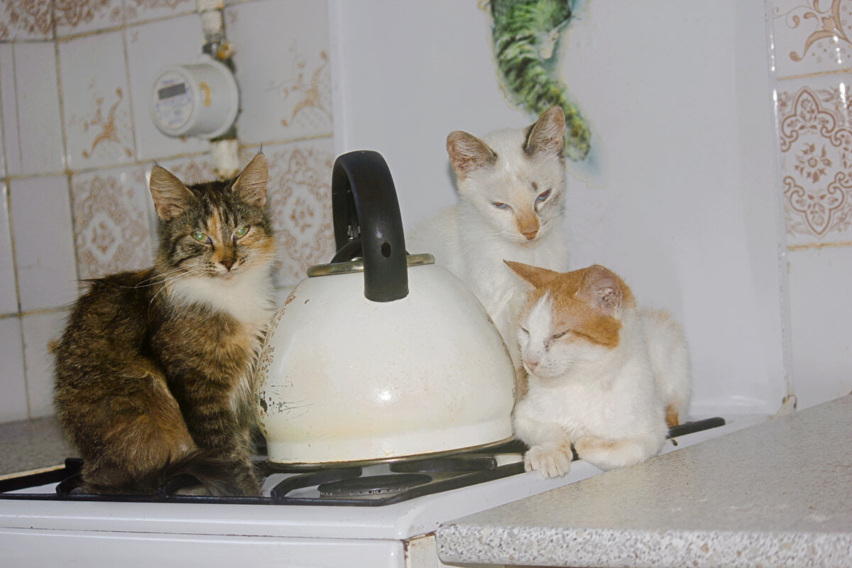 Греемся - Сергей Кочнев