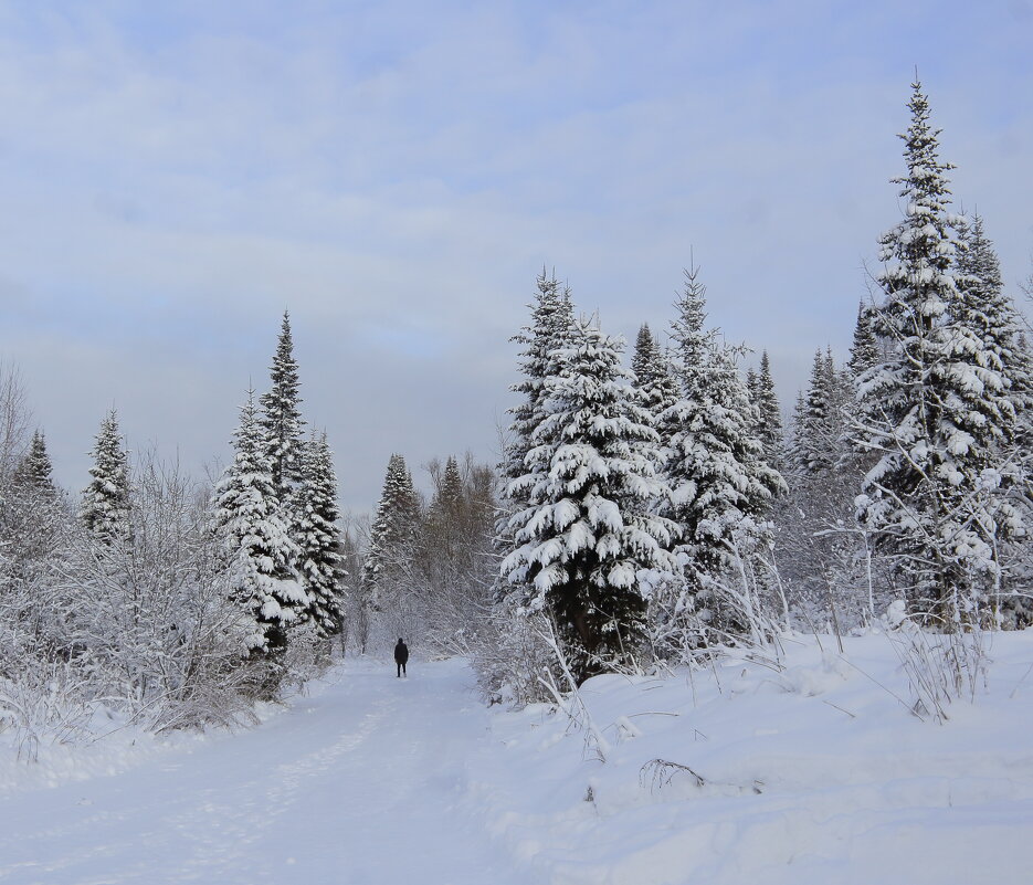 Первый день зимы - Нина северянка