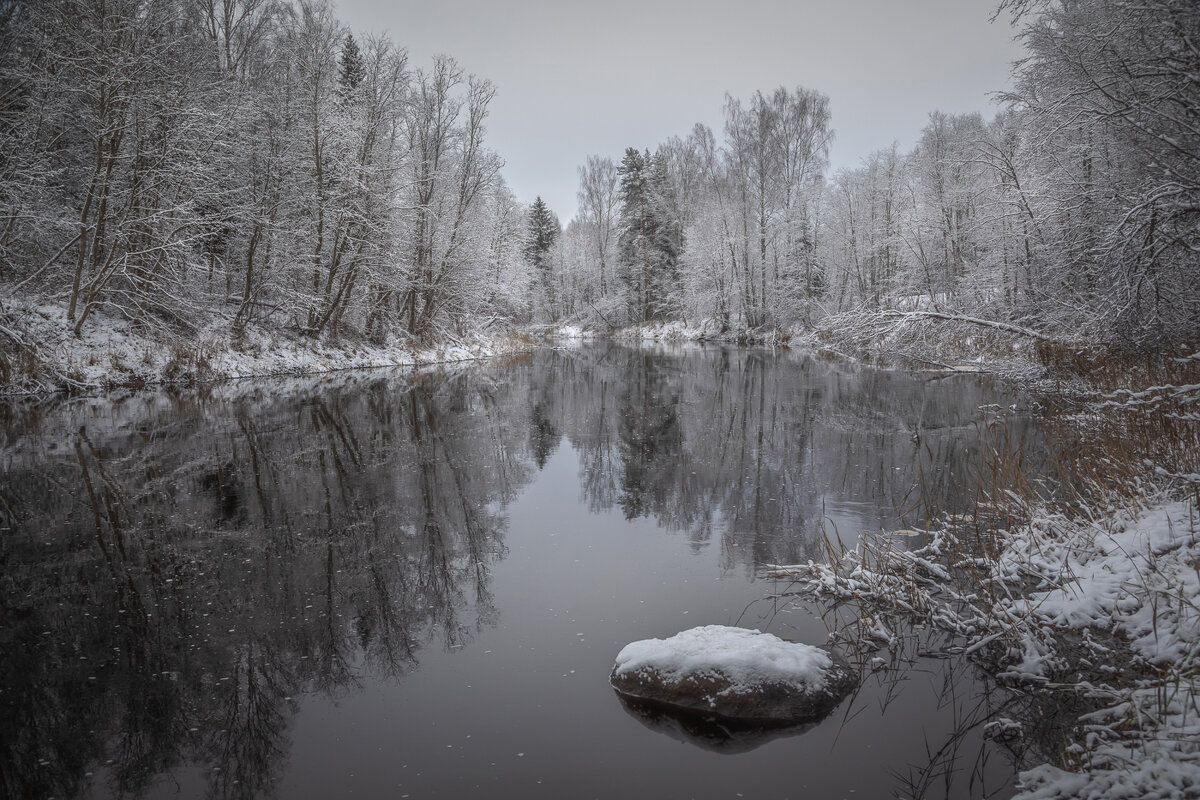 **** - Елизавета .