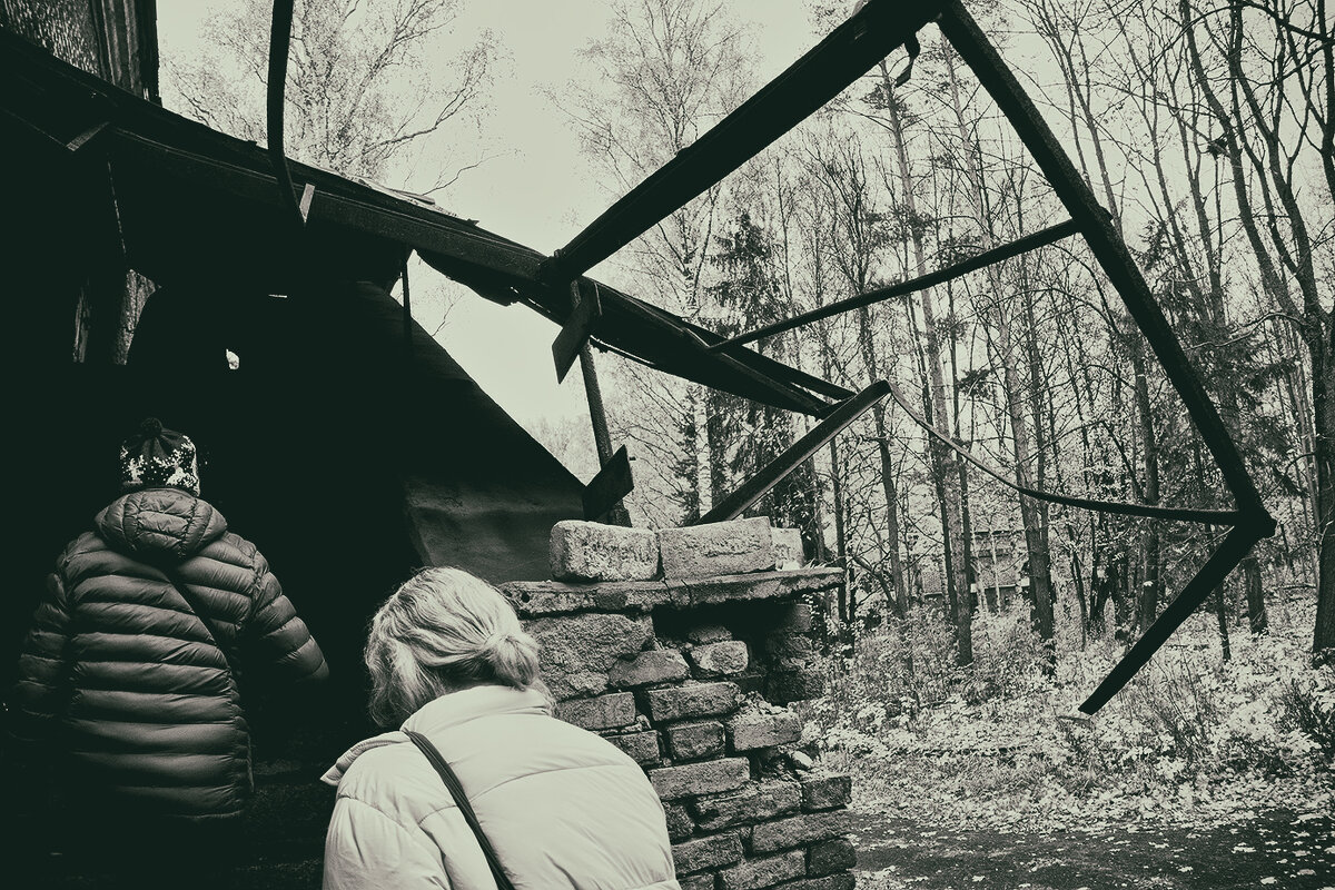 *** - Александр Русинов