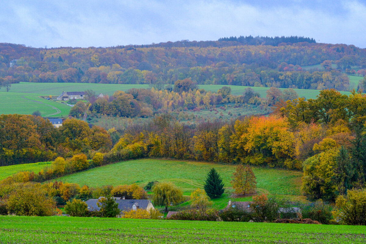 Пейзаж департамента Сарт - Георгий А