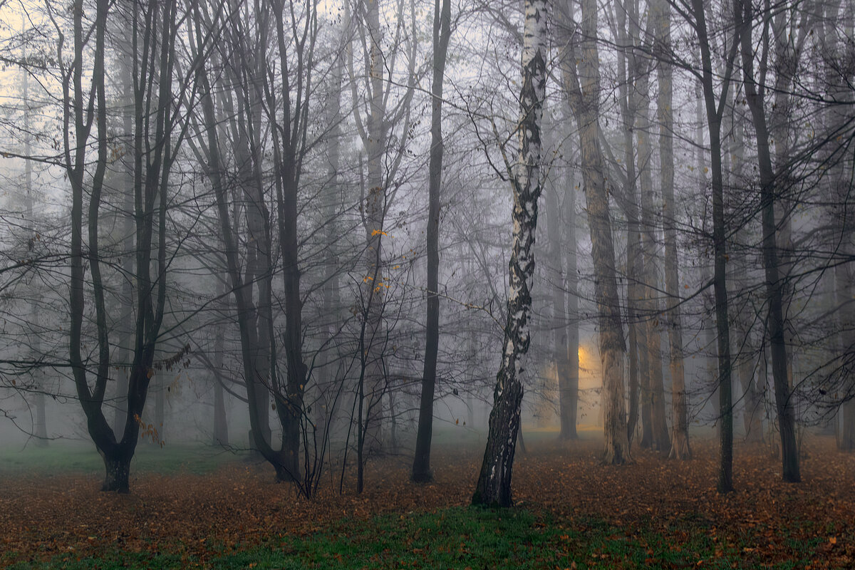 *** - Игорь Протасов