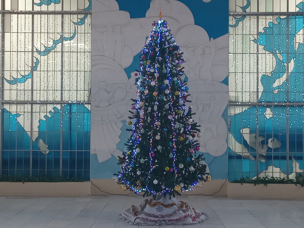 Это наша ёлка - Дмитрий Никитин