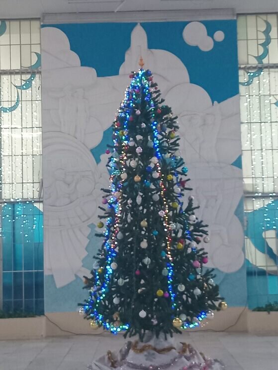 Это наша ёлка - Дмитрий Никитин