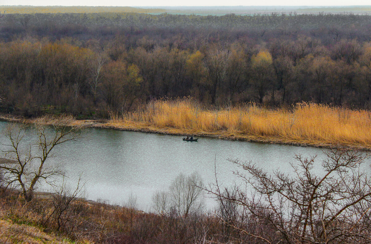 Протока. - Александр 