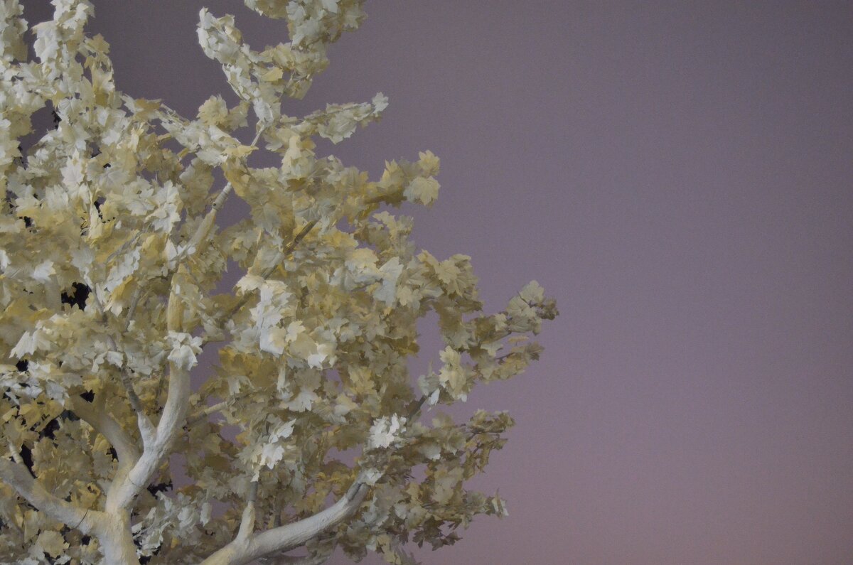 ... - Наталья Вязигина