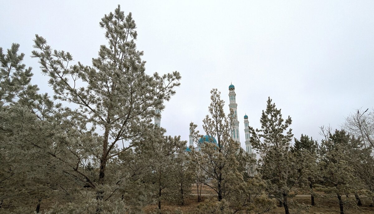 Декабрь в Караганде - Андрей Хлопонин Декабрь в Караганде - Андрей Хлопонин