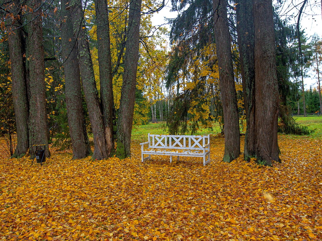 Парк музея-заповедника «Щелыково». - Ольга Довженко
