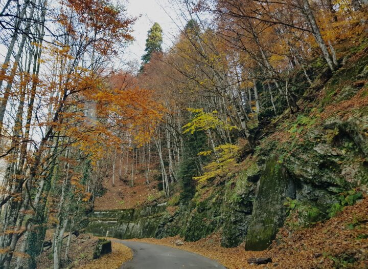 Абхазия - Tata Wolf