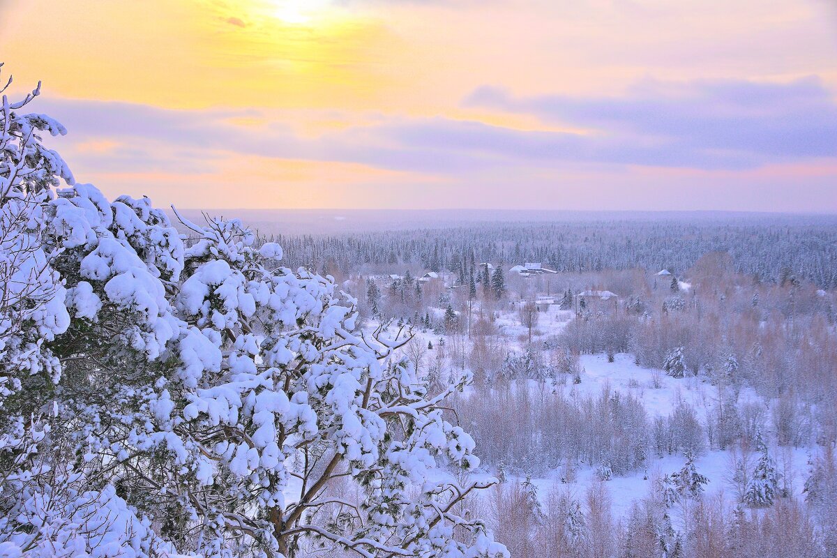 - - Владимир Мигонькин