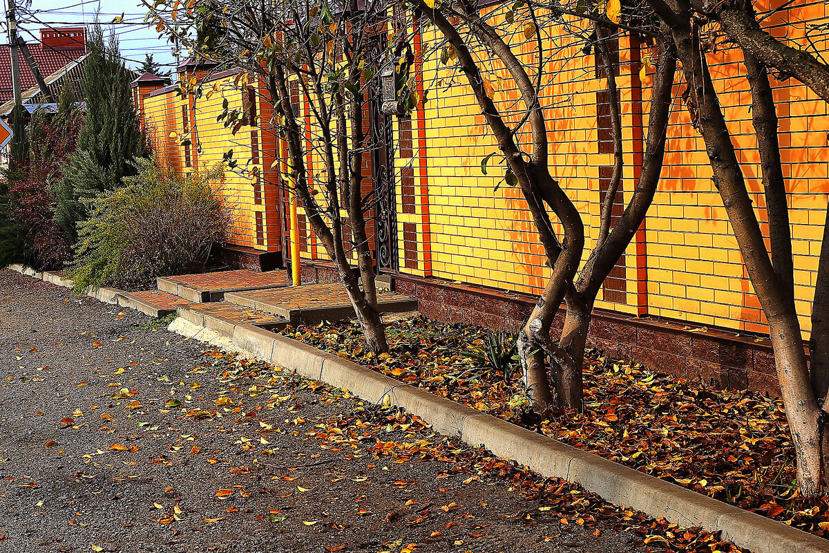 Облетели листики - Юрий Гайворонскiий