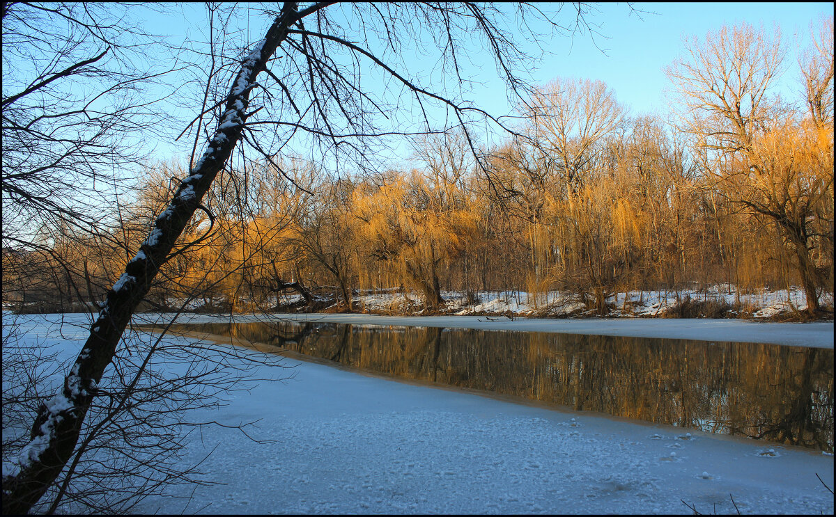 Зима. - Александр Зима. - Александр