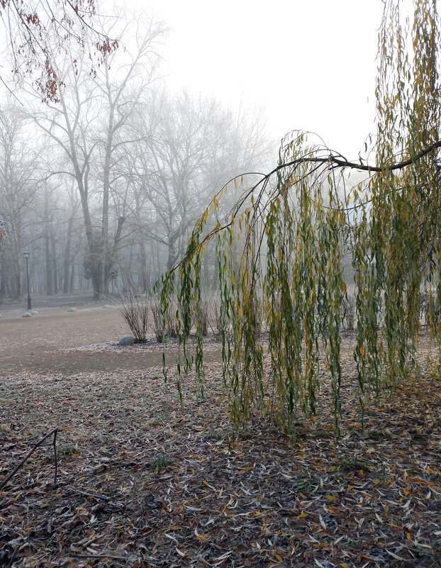 *** - Валентина Береснева