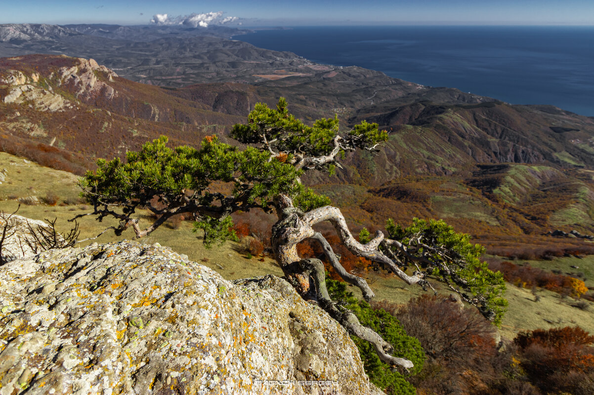 ДЕМЕРДЖИ - Sergey Bagach
